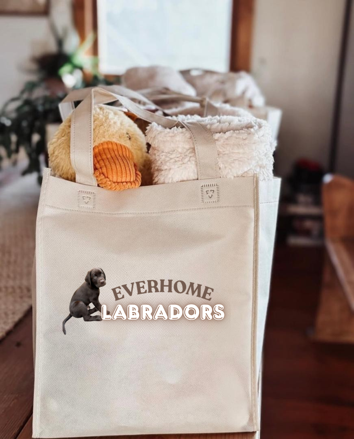 Family with Labrador puppies at Everhome