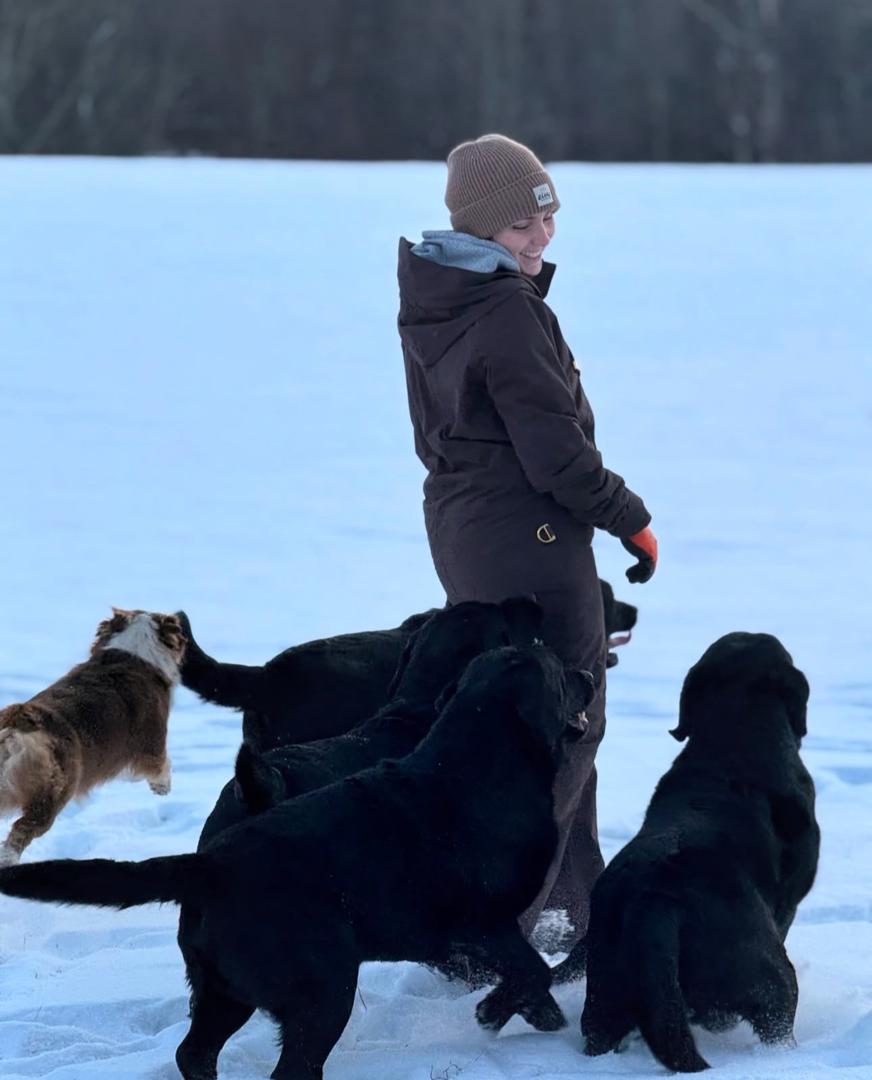 Labrador parent enjoying the yard