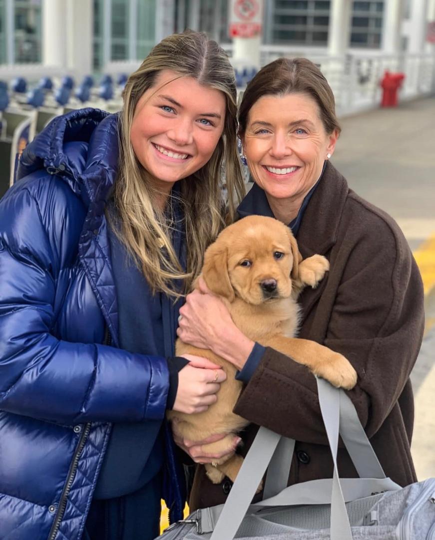 Chocolate Labrador family