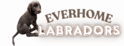 EverHome Labradors